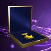 2011年2月：定制佛山兰马克家具十周年定制金质纪念金牌