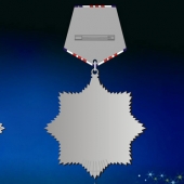 2011年1月：设计制作骑士勋章定制高档纪念奖章
