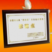 2015年3月：中共贵阳市委表彰先进奖牌高档钛金奖牌定制
