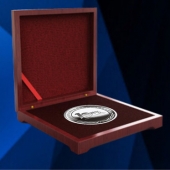 2015年10月定制　江西耐普公司十周年庆纪念银牌定制