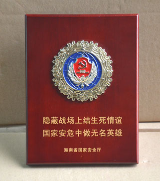 2010年12月海南省国家安全厅功臣荣誉奖章制作,功臣荣誉勋章定制