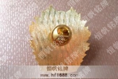 金属会徽滴胶徽章冲压胸章图片欣赏