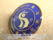 大学校徽徽标设计制作 