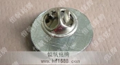 长春经济开发区管委会会徽,精美徽章