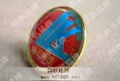 临矿集团滴塑胸章,滴塑徽章