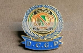 DC金属胸章,胸章制作 
