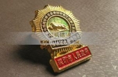 深圳市政府表彰先进徽章,先进胸章
