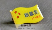 STX大连集团公司胸章,水晶滴塑胸章