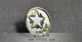 中国平安保险公司司徽,平安导师徽章,镀金徽章