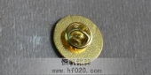 金属滴胶徽章,金属滴塑徽章,金属磨沙金徽章