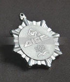 广钢集团授予银质奖章,授予银质勋章