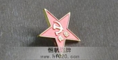 纪检胸针,纪检胸标,纪检标徽,纪检标记徽章